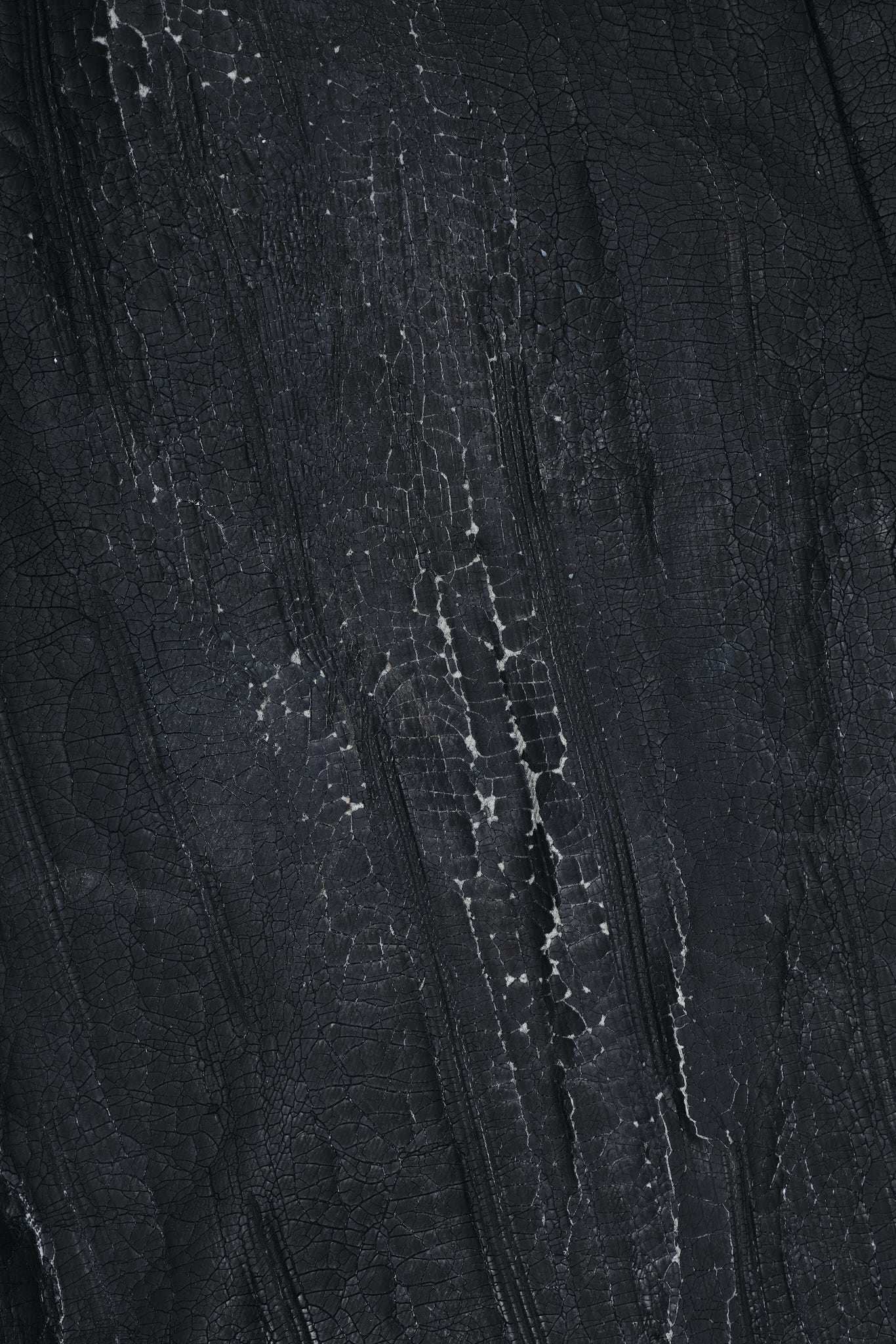 Rock Revival Moto Wax Jeans