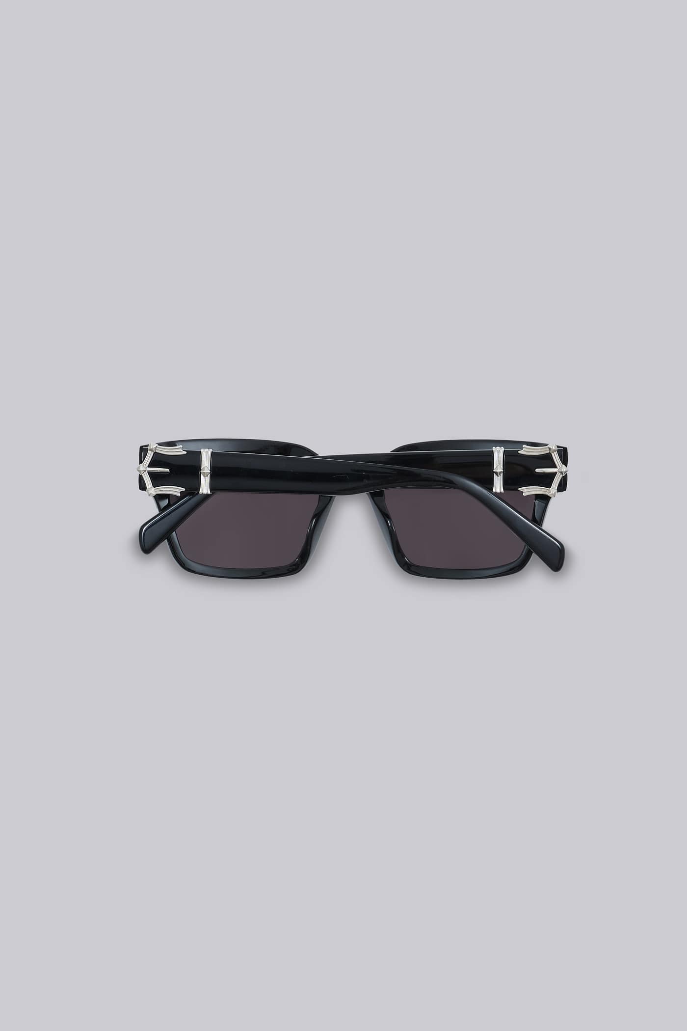 Icon Wayfarer Sunglasses