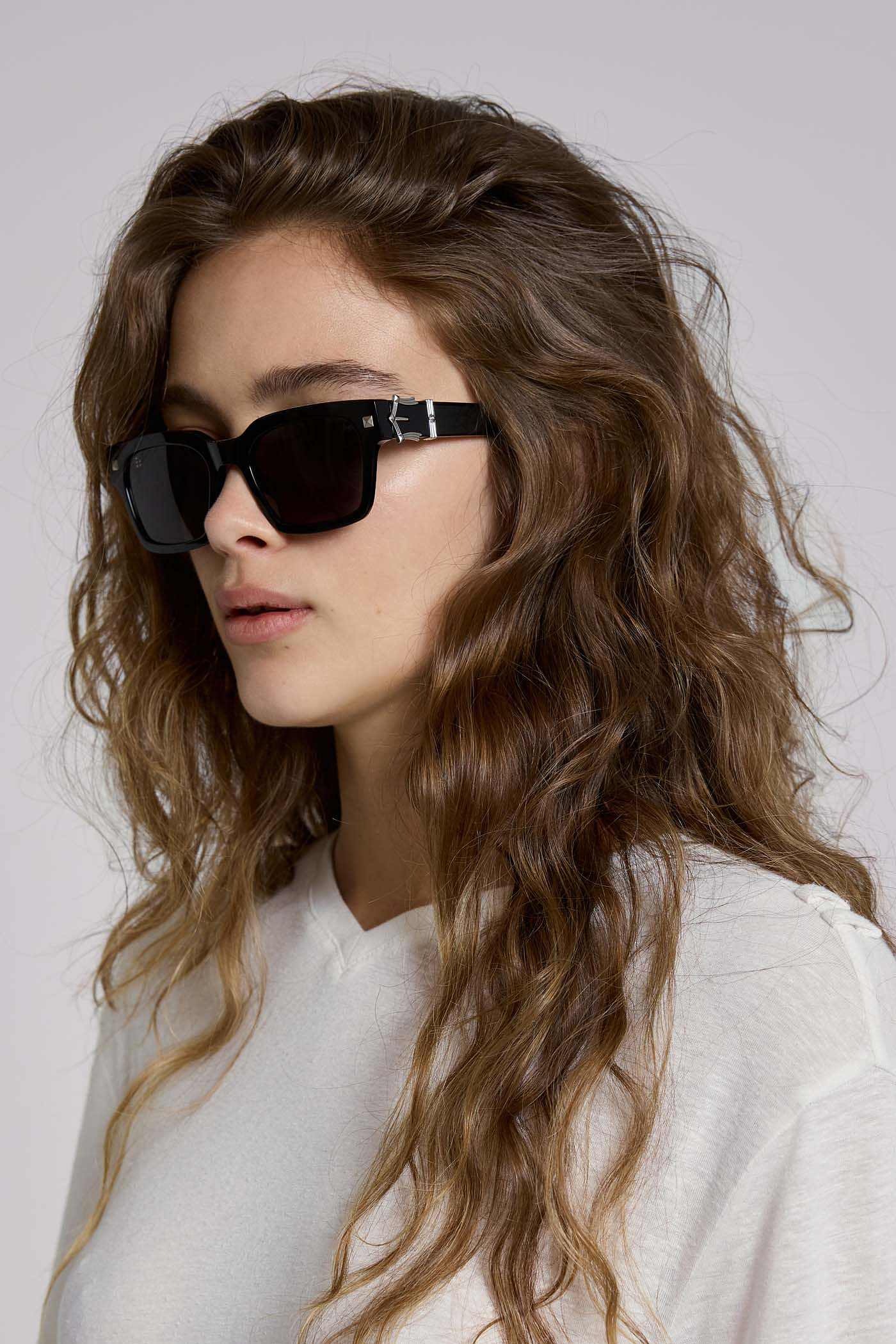 Icon Wayfarer Sunglasses