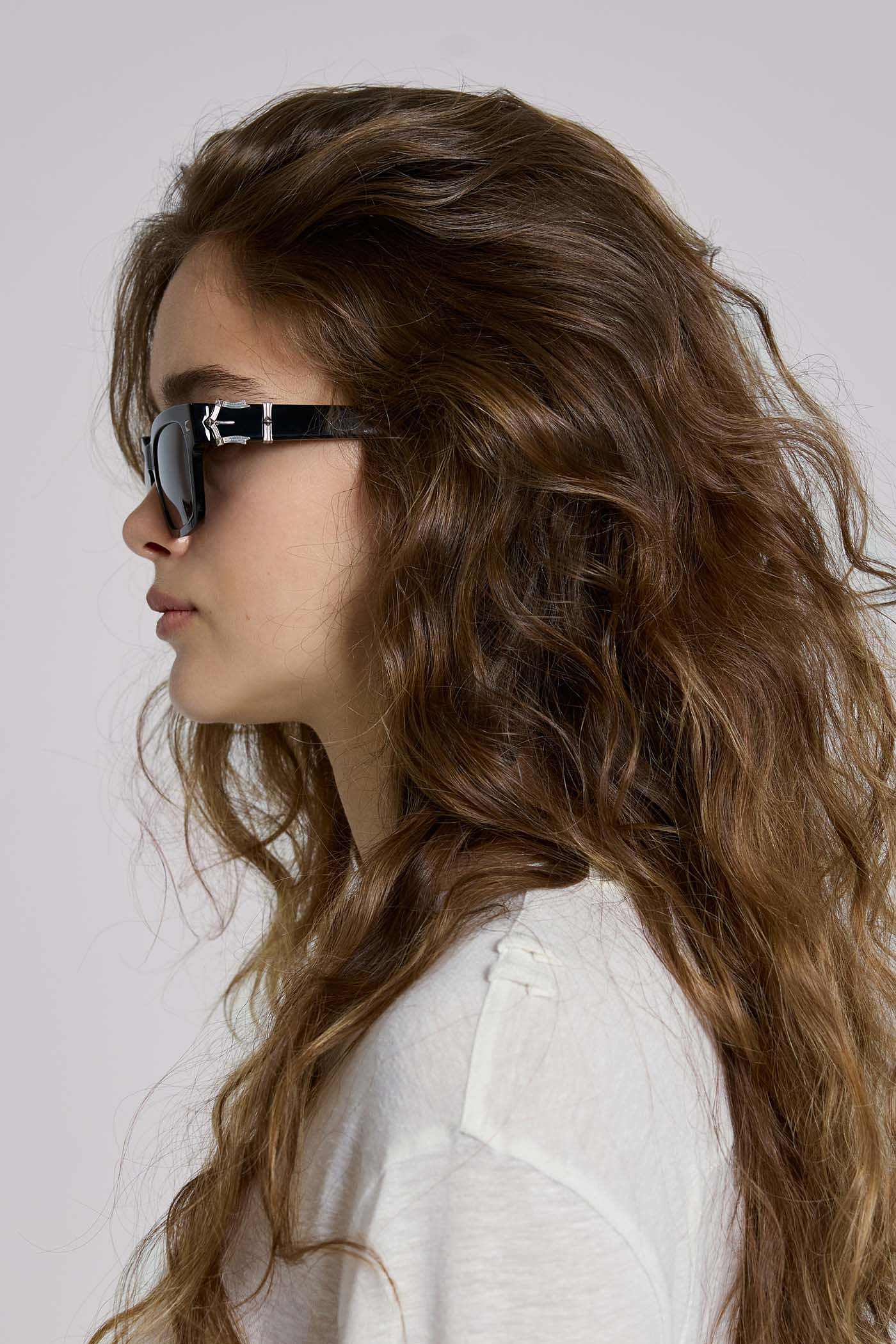 Icon Wayfarer Sunglasses