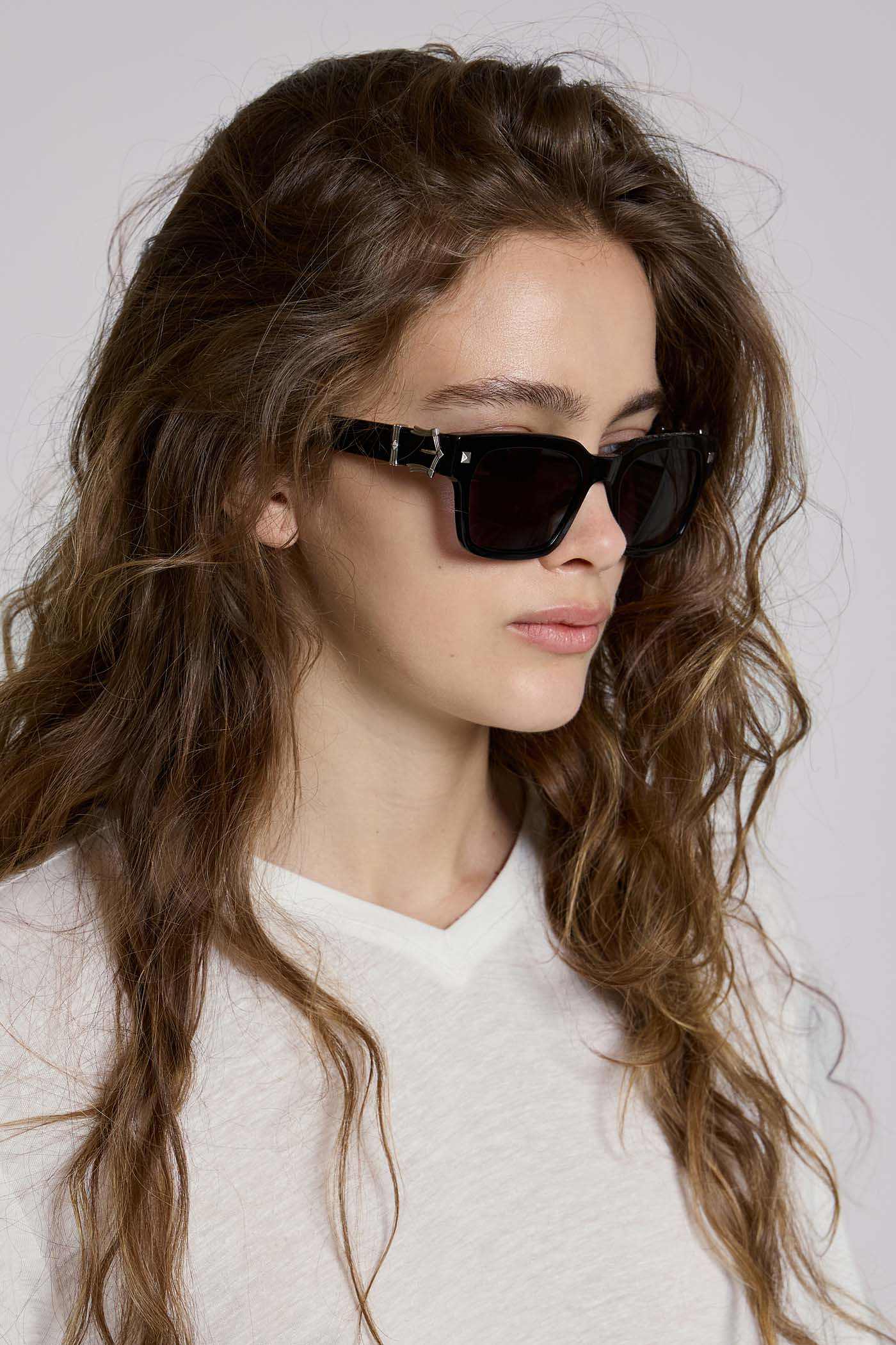Icon Wayfarer Sunglasses