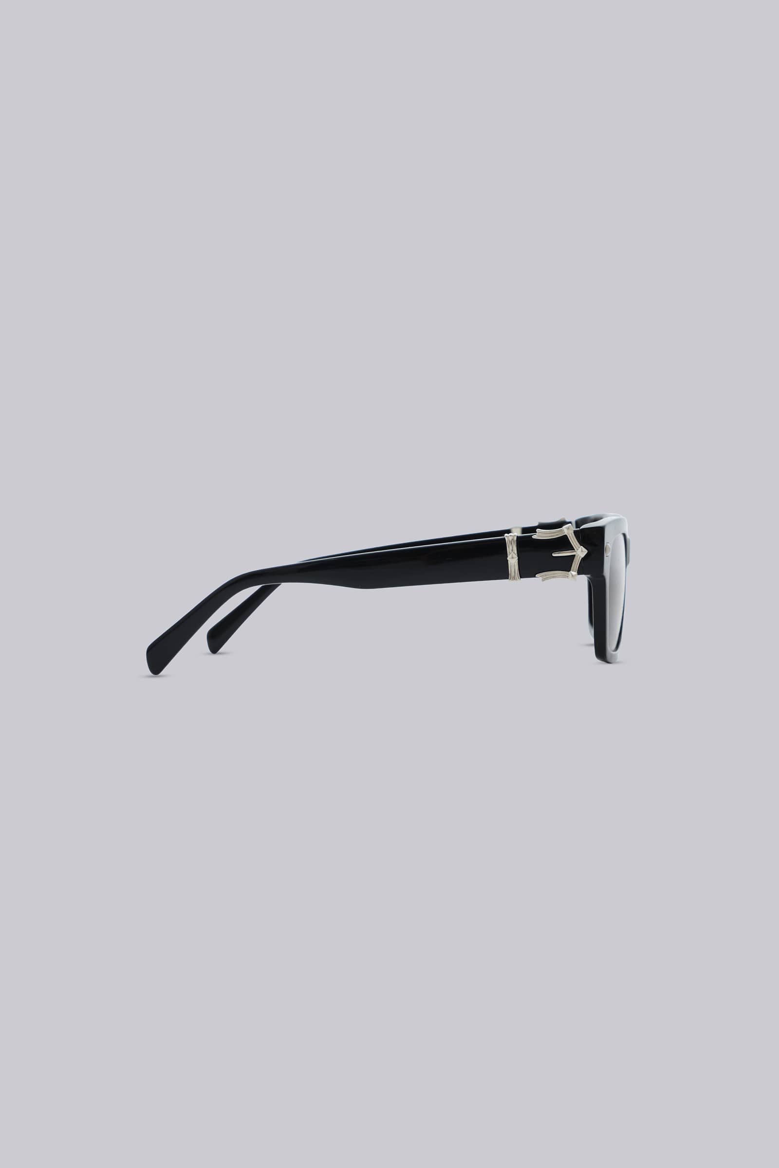 Icon Wayfarer Sunglasses