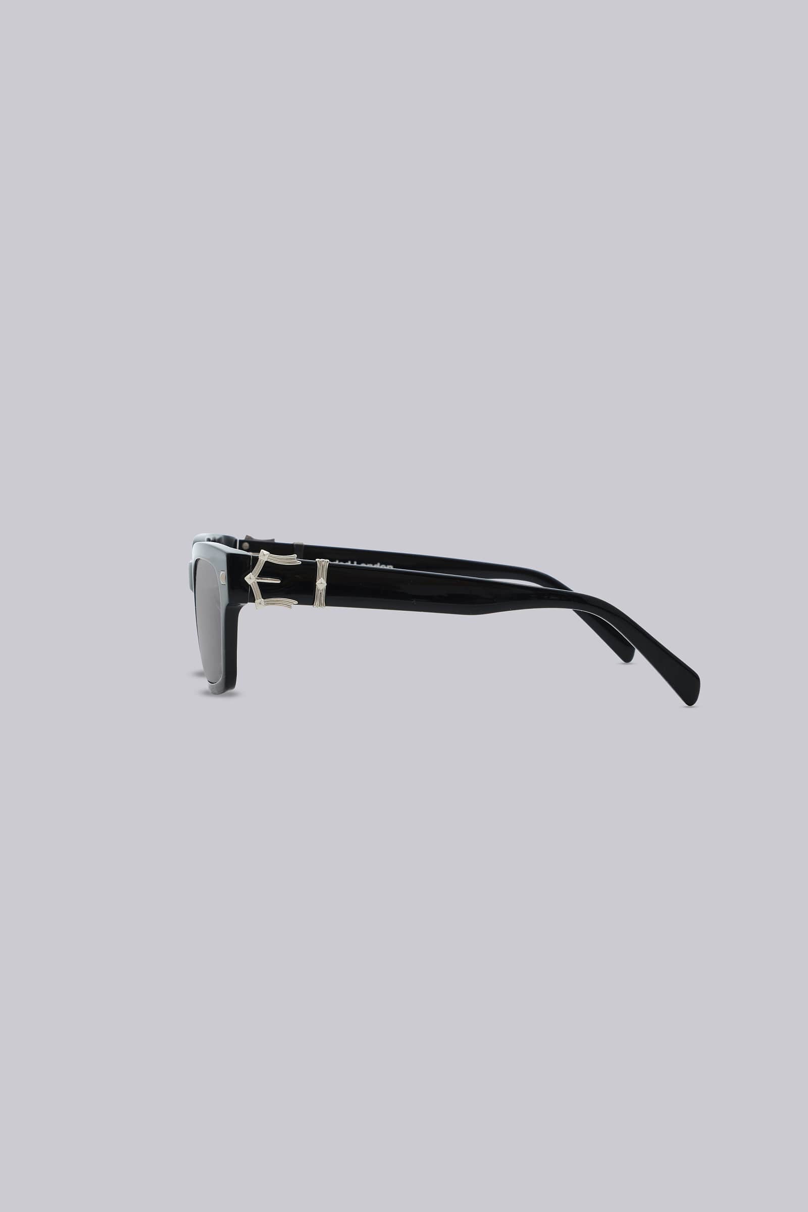 Icon Wayfarer Sunglasses
