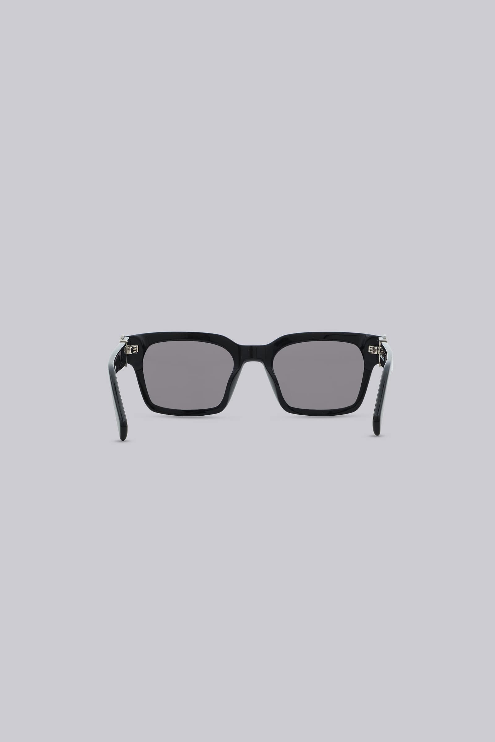 Icon Wayfarer Sunglasses