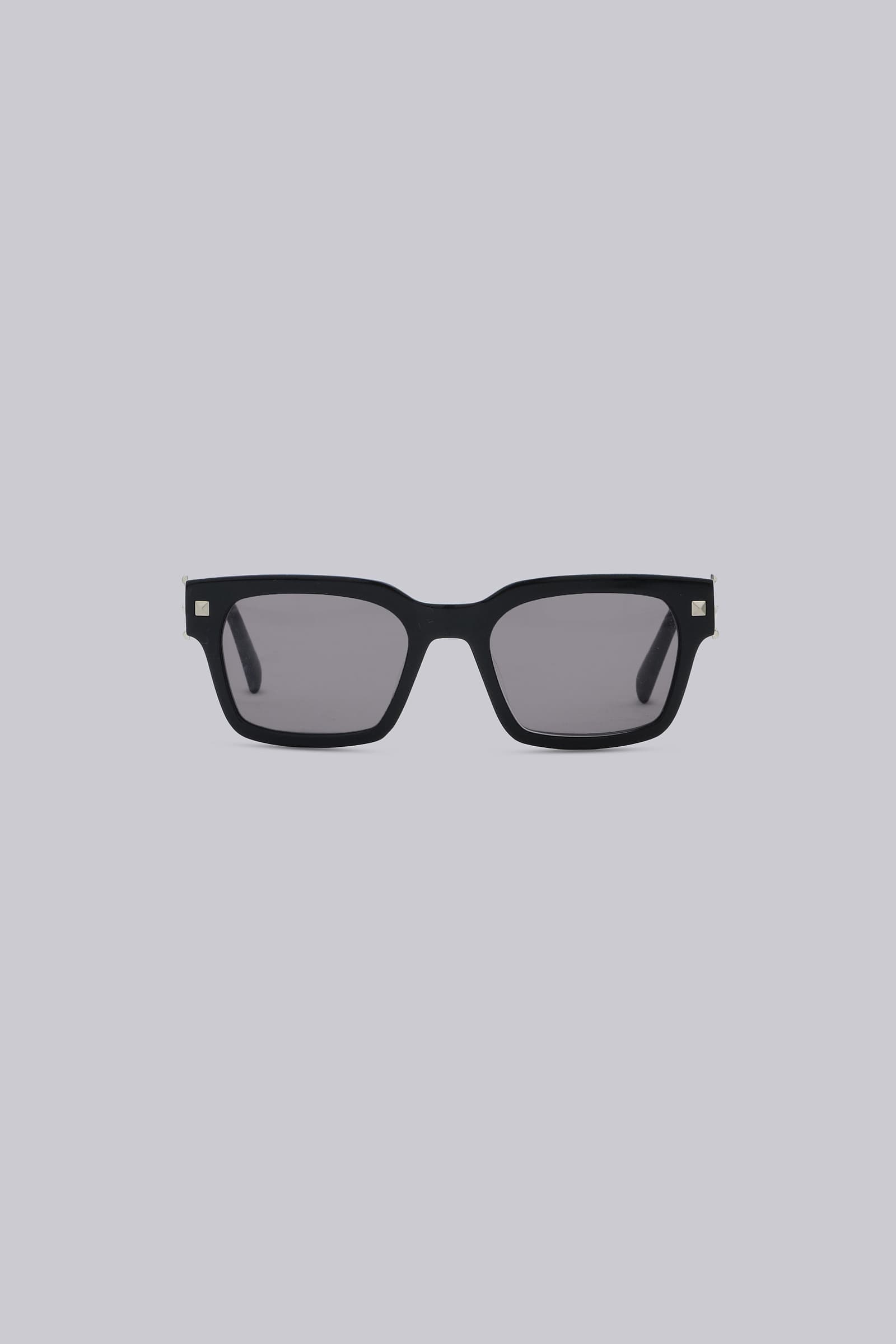 Icon Wayfarer Sunglasses